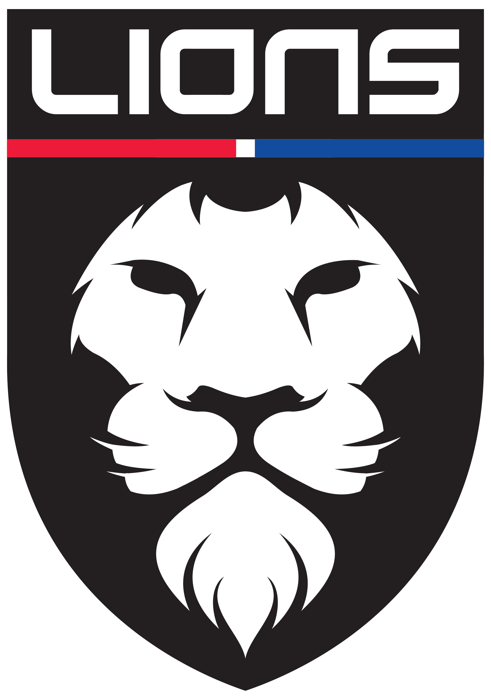 lionshandball.cz