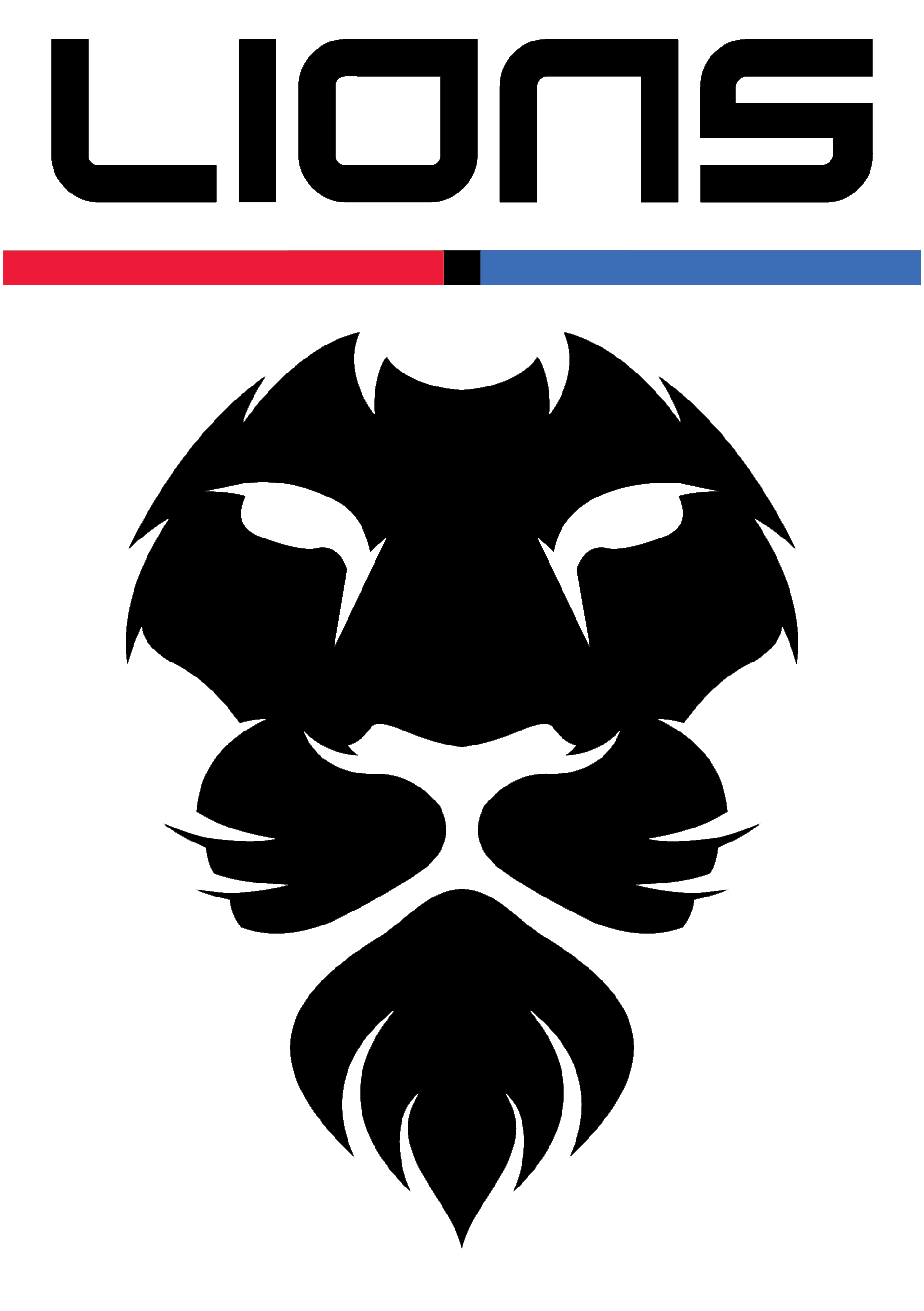 lionshandball.cz